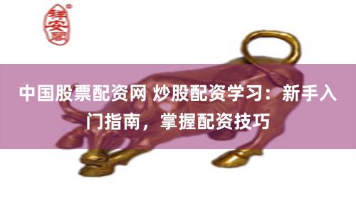 中国股票配资网 炒股配资学习：新手入门指南，掌握配资技巧